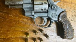 Gun ammo