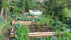 And organic home garden in Retreat, Vermont.  in March 2022. (Photo: Richmond Vale Academy.)