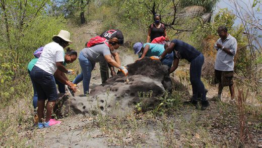 The cleaning of 13 Stones Petroglyph in North Leeward. 