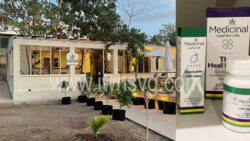 A composite image of Greenhouse Café and some of the products available at its dispensary on Friday, May 6, 2022.