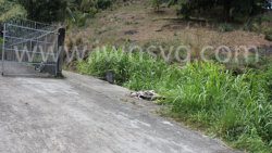 The area in Murrays Village where the body was found on Thursday, May 12, 2022.