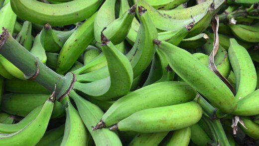 Plantains