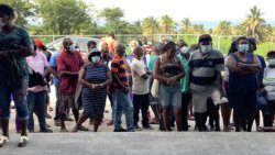 Arrowroot farmers and workers in the sector wait to receive their payments. (API photo)