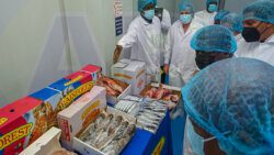 A worker showcases some of Rainforest Seafood SVG's product packaged for export, at the opening ceremony on Friday, July 15, 2022. (Photo: API/Facebook)