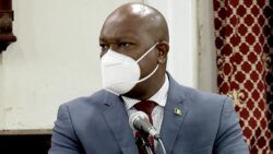 Minister of Agriculture, Saboto Caesar speaking in Parliament on Monday, July 25, 2022.