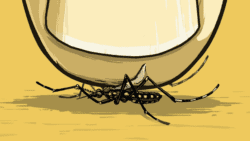 PEst