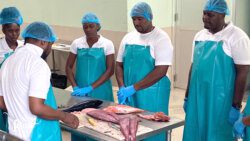 A food safety trainer demonstrates how to fillet fish as participants look on. (Photo Michael Dalton)