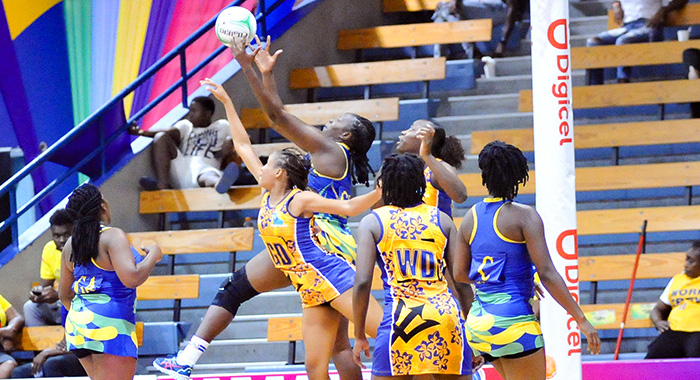 SVG goal shoot Maryann Frederick under pressure by the Barbadian defence collects a pass