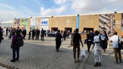 Delegates at the UN Climate talks in Egypt last week.