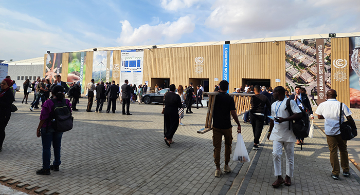 Delegates at the UN Climate talks in Egypt last week.