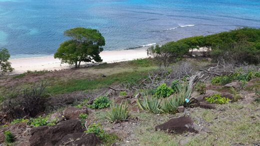 Parts of the lands at Union Island that are the subject of the latest acquisition. (Photo: F. Hutchinson)