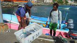 Fisheries FAO Project PHOTOS