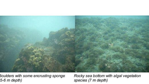 Pictures from KNOCKS EIA report.