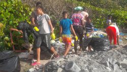Beach cleanr up