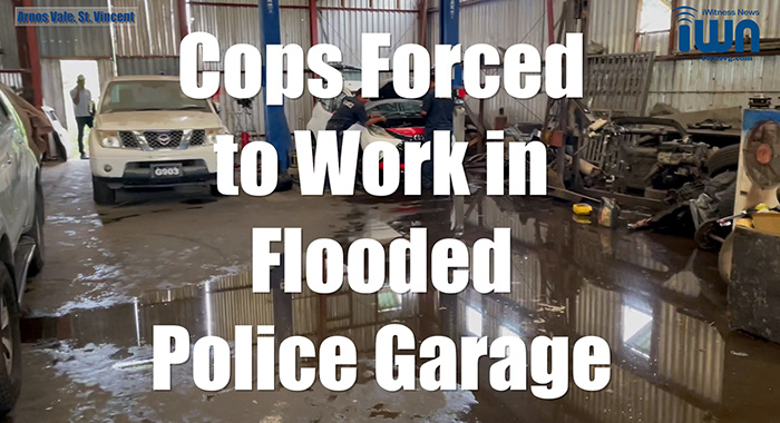 Flooded Garage