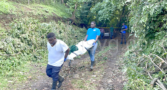 Undertakers remove the body from the mountains of Carib Village in Campden Park on Wednesday, Sept. 27, 2023. 