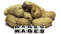 Poor wages in terms of peanuts.