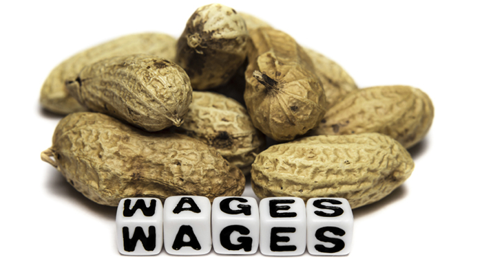 Poor wages in terms of peanuts.