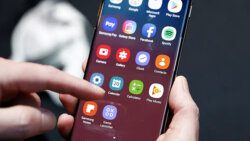 Browsing phone