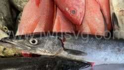 An iWitness News file photo of fish on sale in Kingstown. 