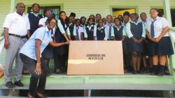 Form 5 Integrated Red Cross Officials