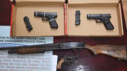 Guns