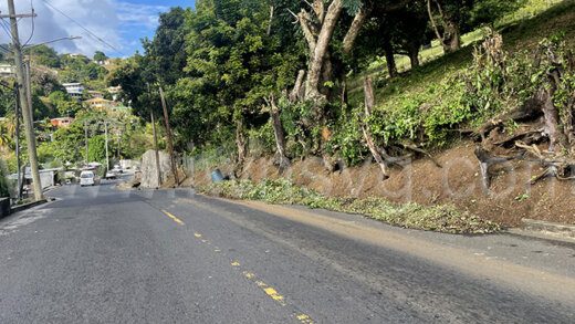 Cuttings at roadside
