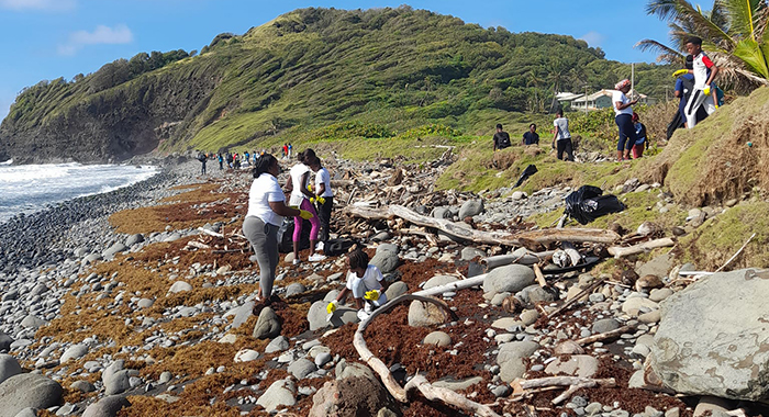 Clean up of Argyle beach