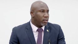 Minister of Minister of National Mobilization, Social Development, Family, Gender Affairs, Youth, Housing and Informal Human Settlement, Orando Brewster. 