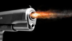 A fire from the gun after the shot. Gunshot