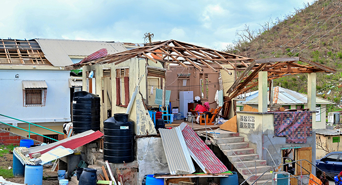 S. Grenadines MP tears up as he speaks about Hurricane Beryl experience ...