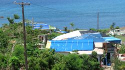 Tarpaulins on some homes in Mayreau that fared well but had roof damage leading to water damage inside.