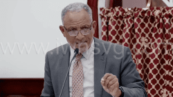Opposition Leader Godwin Friday speaking in Parliament on Tuesday, Oct. 29, 2024.