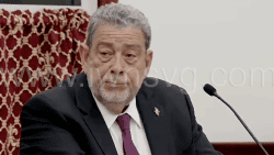 Prime Minister Ralph Gonsalves speaking in Parliament on Tuesday, October 29, 2024.