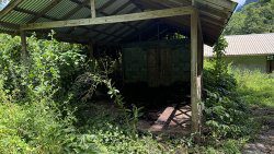 The shed in Penniston where the cow was slaughtered on Friday night, Nov. 22, 2024.