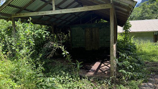 The shed in Penniston where the cow was slaughtered on Friday night, Nov. 22, 2024.