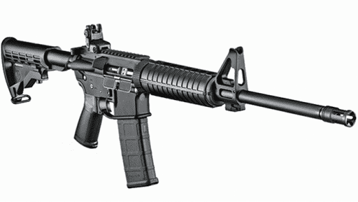 An internet photo of an AR-15 rifle.