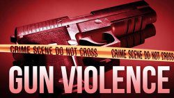 Gun violence