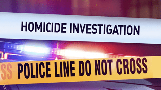 Homicide investigation