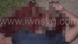 The victim appeared to have been shot in the head.