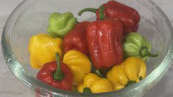 Hot petters