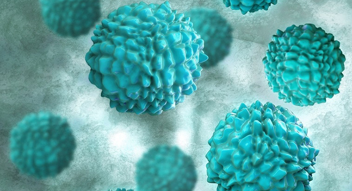 Norovirus