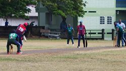 F15 Softball Cricket