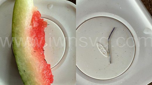 Pins in melon 2