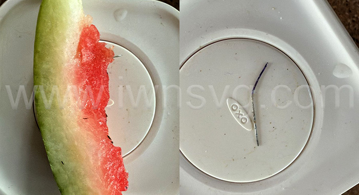 Pins in melon 2