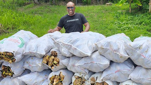 In this photo published on his Facebook page on May 27, 2024, Minister of Agriculture Saboto Caesar posed with dasheen, ready for export. Central Kingstown MP, St. Clair Leacock says Caesar has not spent over $500 million allocated to his ministry. 