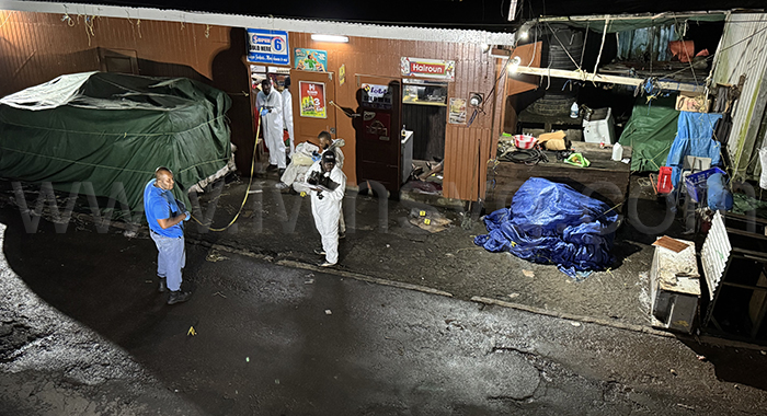 Homicide investigator process the scene of the triple homicide in Belmont on Friday, May 16, 2025. 