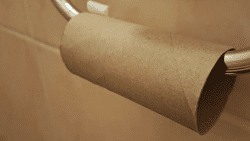 Empty toilet paper