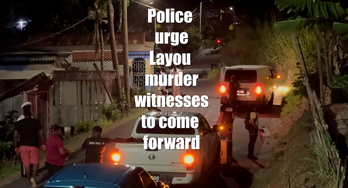 Layou murder witnesses 2