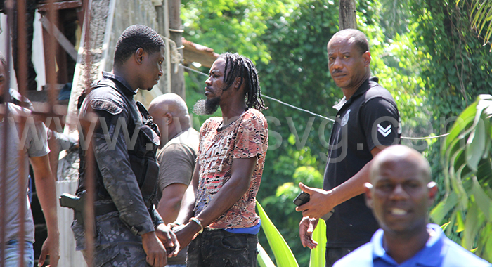 Man in police custody